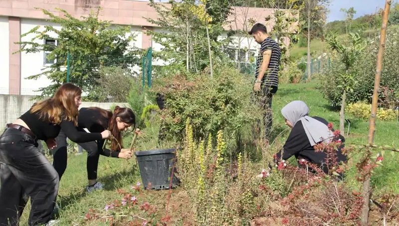 Düzce’nin Yükselen Değeri: Hayaller Gerçek Olunca Globalleşiyor