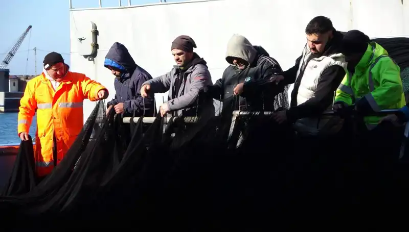 Hamsi Avında Beklenmedik Kriz: Tekneler Erken Veda Ediyor!