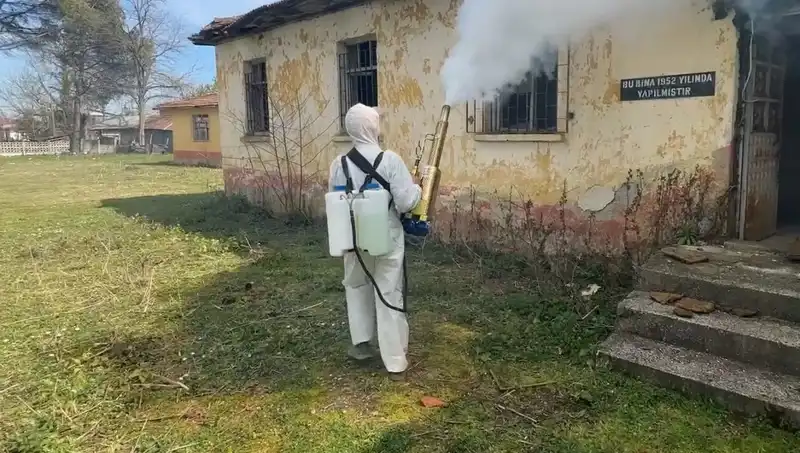 Çiftçiler, Kahverengi Kokarca Tehdidiyle Nasıl Mücadele Ediyor?