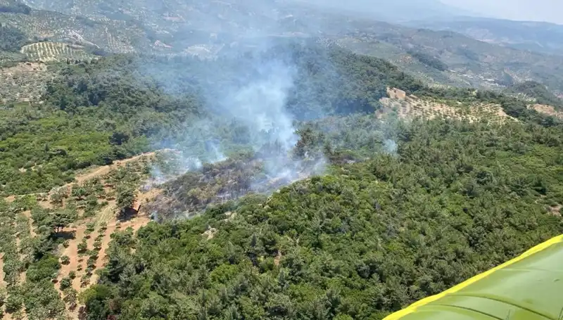 Aydın'da Orman Yangını: Fırtına ve Kuru Hava Etkisiyle Büyüdü!