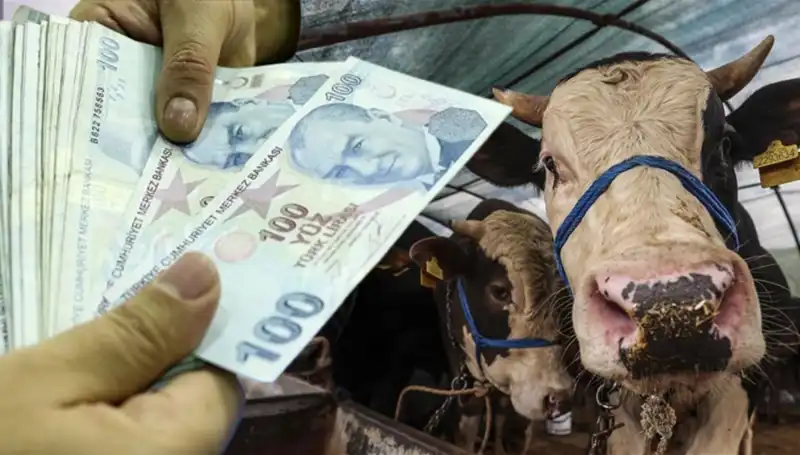 Maaşlar Kurban Bayramı Öncesi Yatacak mı? Emeklilere Müjdeli Haber!