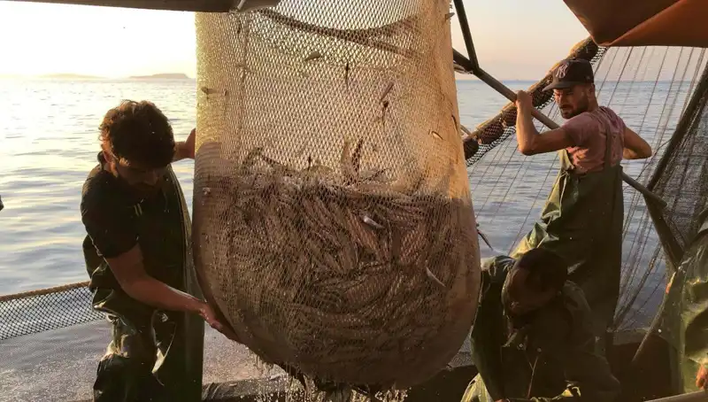 Balıkçılar İsyanda! İhlal Edenlere Binlerce Lira Ceza Geliyor