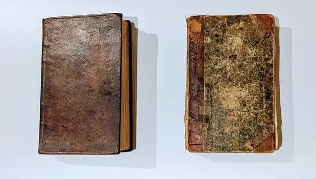 200 Yıllık Gizem: Katilin Derisiyle Ciltlenmiş Kitap Müzede Keşfedildi