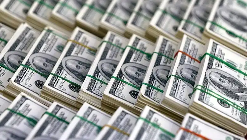 Doların Hızla Yükselişine Dikkat! Ekonomistler Uyardı