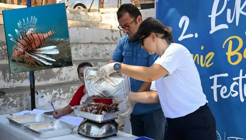 Antalya'da İstilacı Aslan Balığı Avlama Yarışması: Koruma ve Rekabet Bir Arada