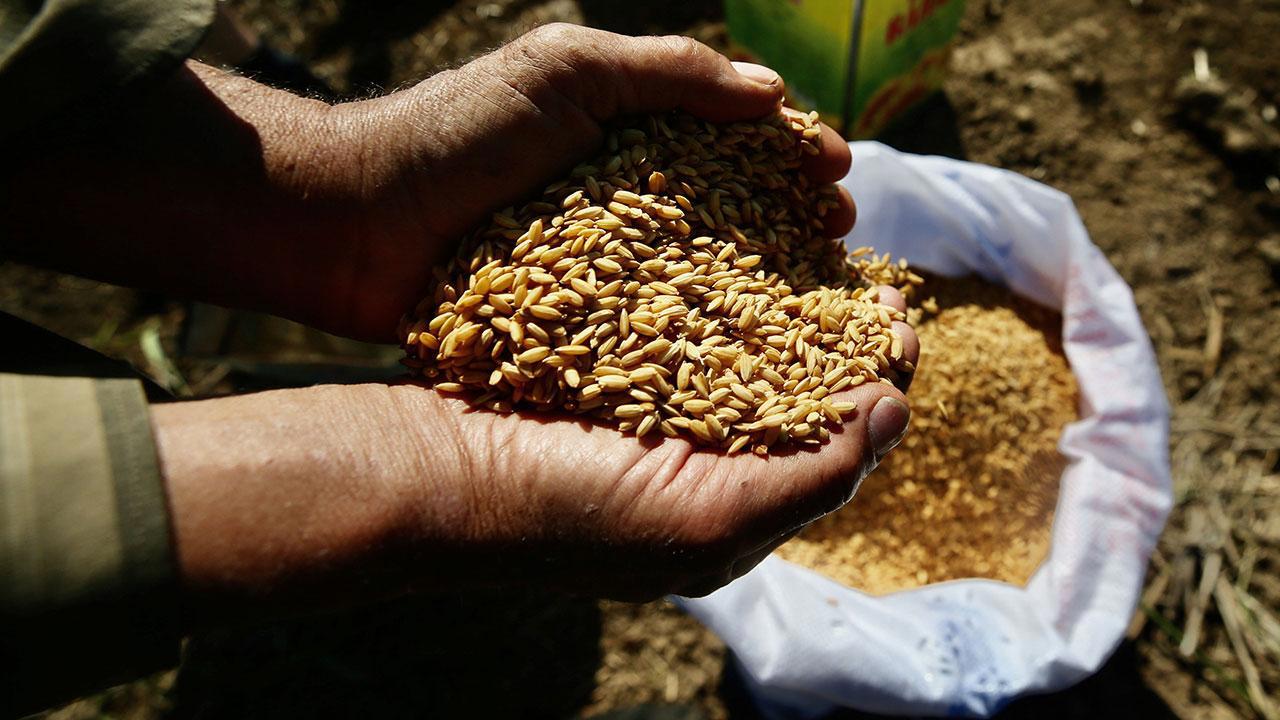 Artık Ata Tohumları Tarım Kredi Marketlerinde!