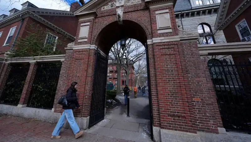 Harvard Profesörleri, Trump Yönetimini Hukuka Aykırılıkla Suçladı