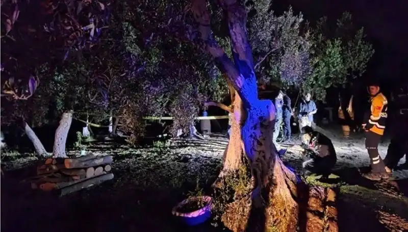 Çiftlikte Yaşanan Baltalı Vahşette Şok Gelişme: Bir Kişi Tutuklandı