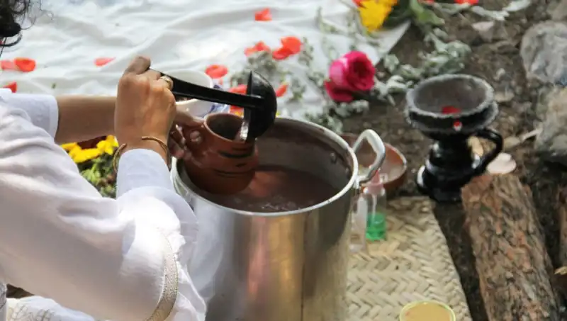 Ayahuasca Nedir? Yasakları ve Etkileri Üzerine Derinlemesine Bir İnceleme
