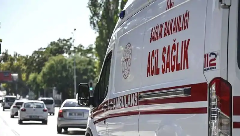 Apartmanda Böcek Krizi: Mangalda Pul Biber Yakıldı, Binaya Tahliye Kararı Alındı