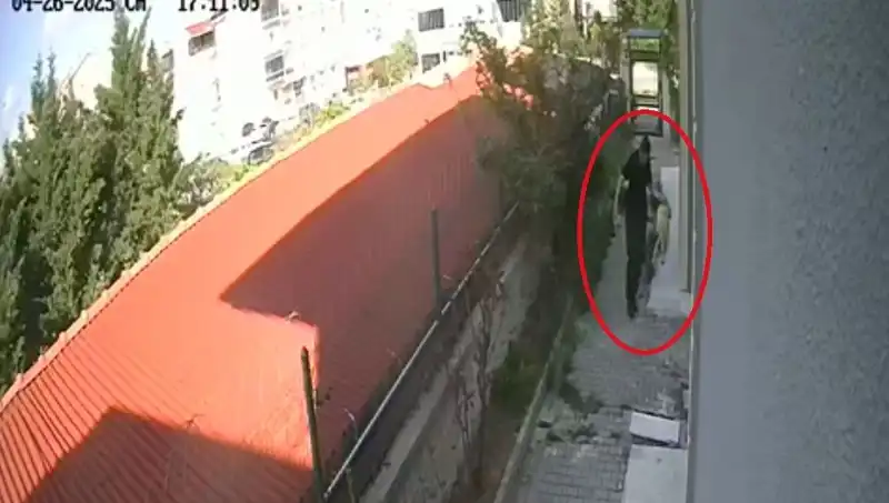 Hayvansever Doktorun Korkunç Sırları: Evdeki Köpekleri Parçalayan Skandal