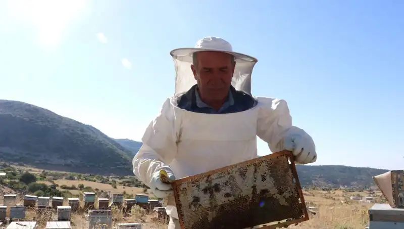 25 Yıldır Sektörden Uzakta Olan Kobi, Bu Yıl 2 Ton Üretti