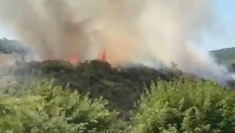 İstanbul'da Orman Yangını: Hızla Büyüyen Alevler, Vatandaşları Tahliye Ettirdi