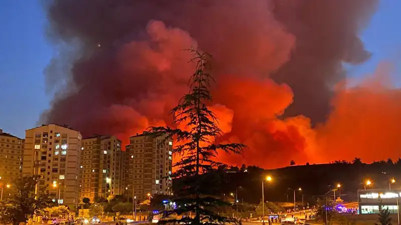 Bursa'da Yangınlar Şehrin Her Yerini Korkuyla Sarmaladı