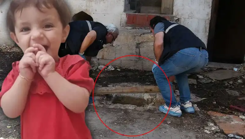 Cesedi Kuyuda Bulunan Aric'in Gizemli Ölümü: Cinayet mi, Kaza mı?