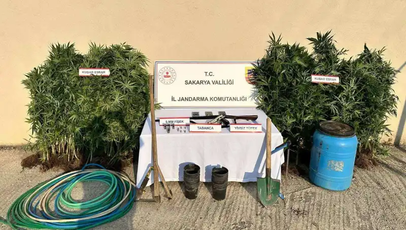Sakarya'da Büyük Uyuşturucu Operasyonu: Tek Tutuklama ile Sona Erdi