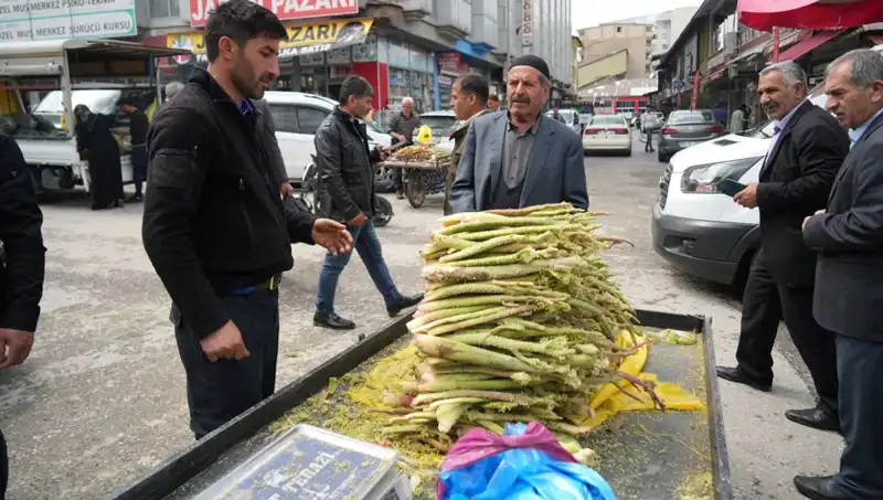 Şeker, Kanser ve Mide Hastalıklarına Şifa: Dağlık Alanların İncisi