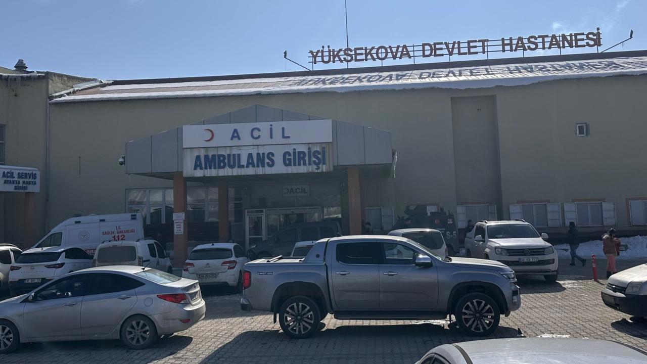 Çocuğun Ölümüne Sebep Olan Köpeklerle İlgili Soruşturma Başlatıldı