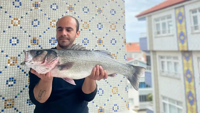 7,5 Kiloluk Dev Levrek, Balıkçılara Heyecan Verdi!
