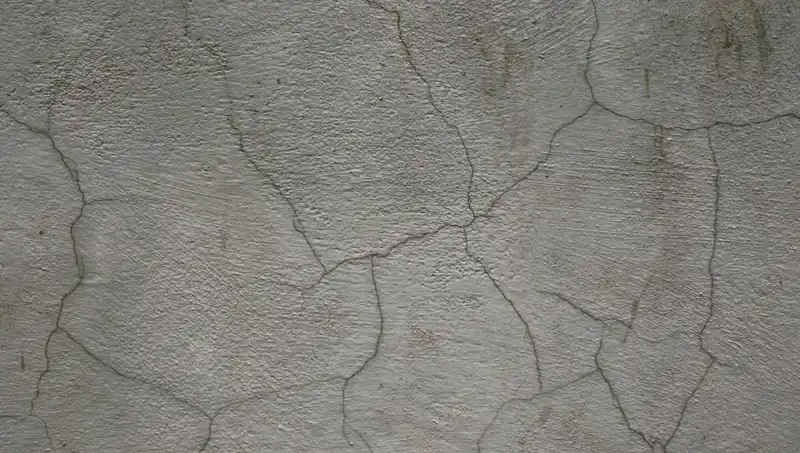Canlı Beton: Yapıların Geleceği ile Tanışın ve Çatlaklarınızı Unutun!