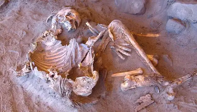 Yeni Mumya Keşfi, İnsanlık Tarihini ve Soy Ağacını Yeniden Yazıyor