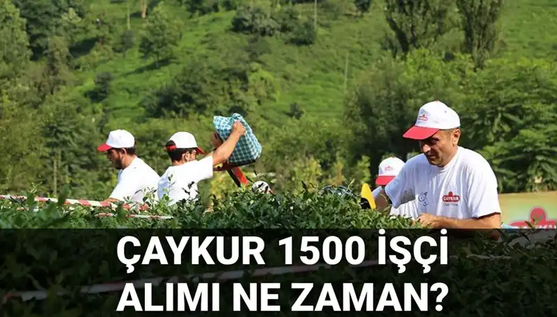 Çaykur İşçi Alımı için Başvuru Tarihleri ve Detaylar Açıklandı!