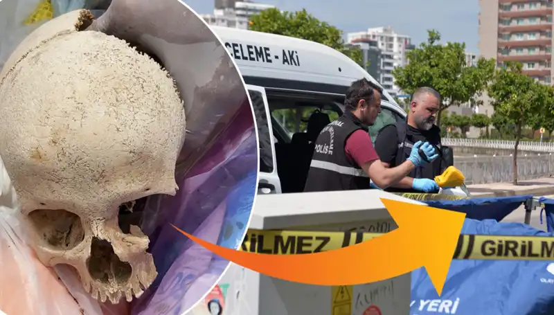 Sitenin Çöpünden Çıkan Kafatasının Şaşırtıcı Sırrı Ortaya Çıktı!