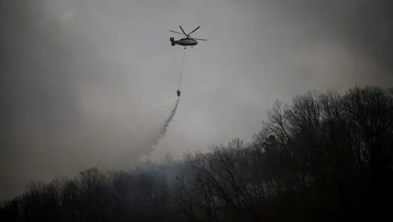 Güney Kore'de Uçak Kazası: Yangın Söndürme Helikopteri Düştü, 1 Kişi Hayatını Kaybetti