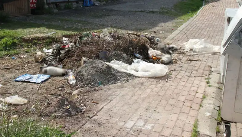 Antalya’da Vahşet: 10 Kedi Gizemli Bir Şekilde Ölü Bulundu!