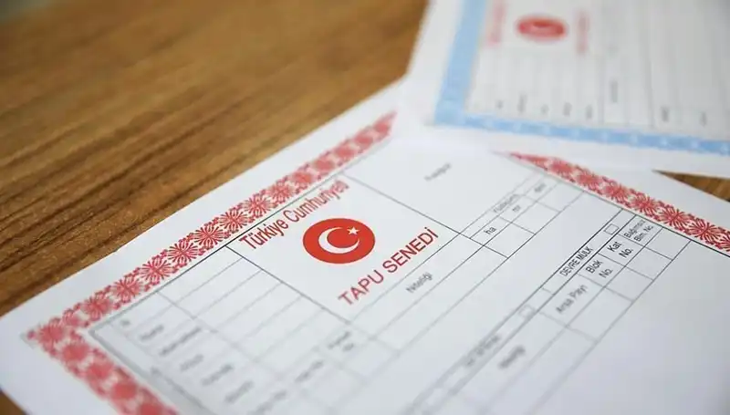 "Hisseli Tapu İle Dolandırıcılık: 100 Milyonluk Skandalın Ardındaki Gerçekler"