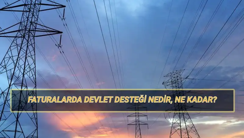 2025'te Doğalgaz ve Elektrik Faturalarında Devlet Desteği Nasıl Alınır?