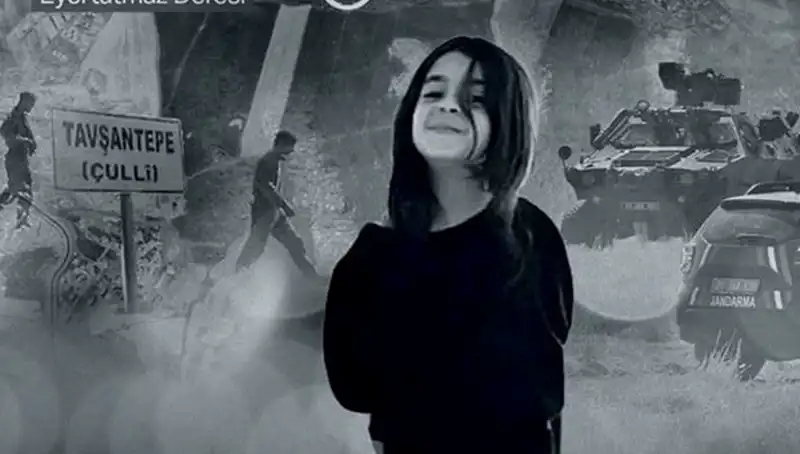 Narin Güran'ın Ölmeden Önceki Son İsteği: Ağabeyime Söylemek İstedikleri