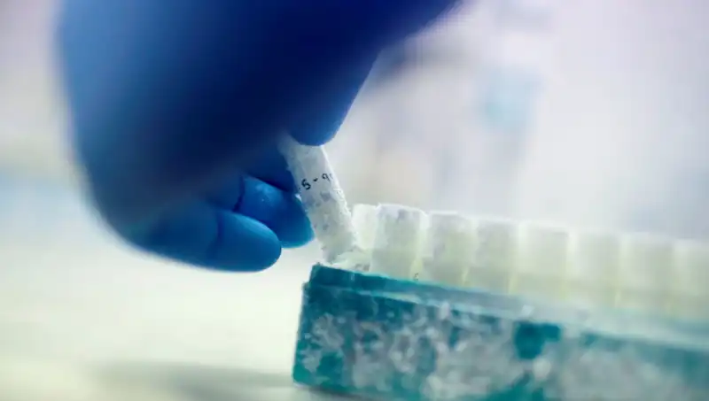 Tıbbi Felaket: 85 Sperm Donöründen Binlerce Çocuğa Babalık Edildi