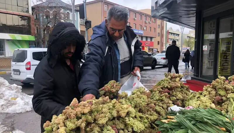 Kendiliğinden Yetişen Vitamin Deposunun Kanserle Savaşta Yeni Umut Olması